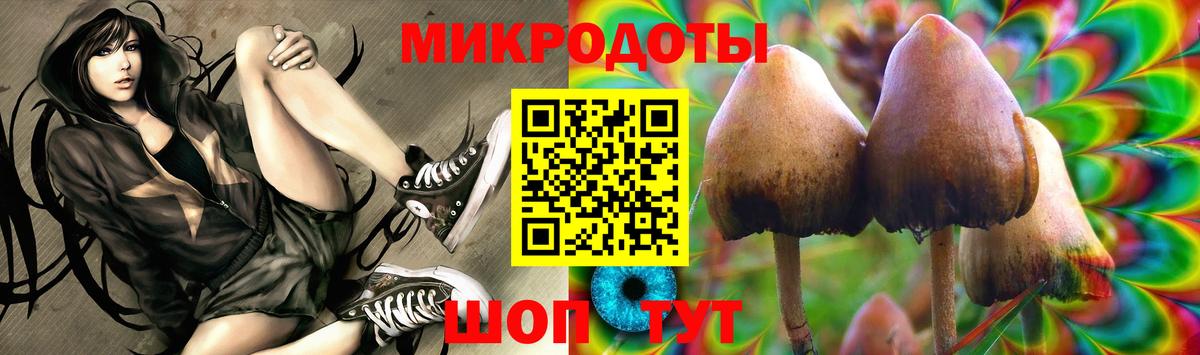 Галлюциногенные грибы мицелий Буйнакск