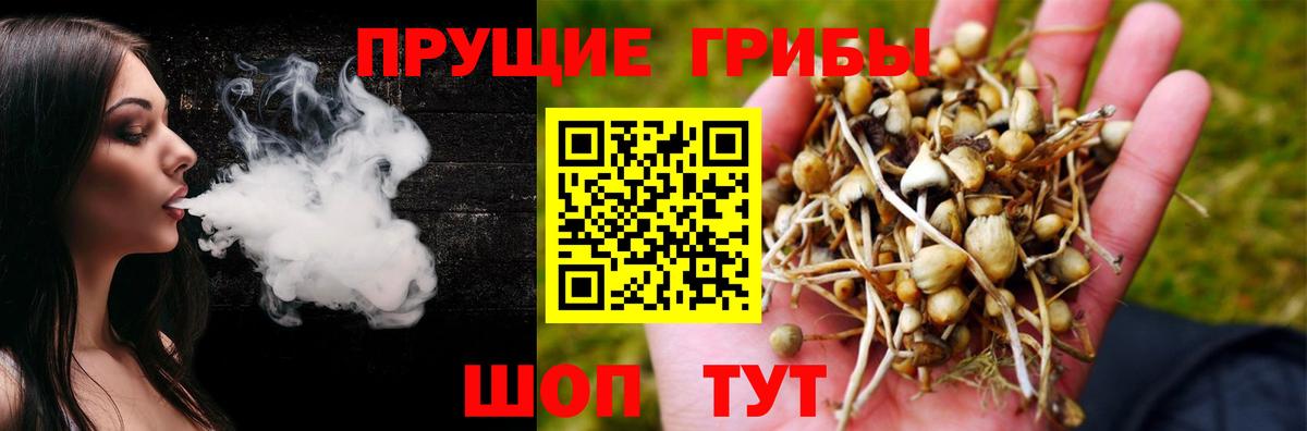 Псилоцибиновые грибы Psilocybe  Вход с VPN  Буйнакск 
